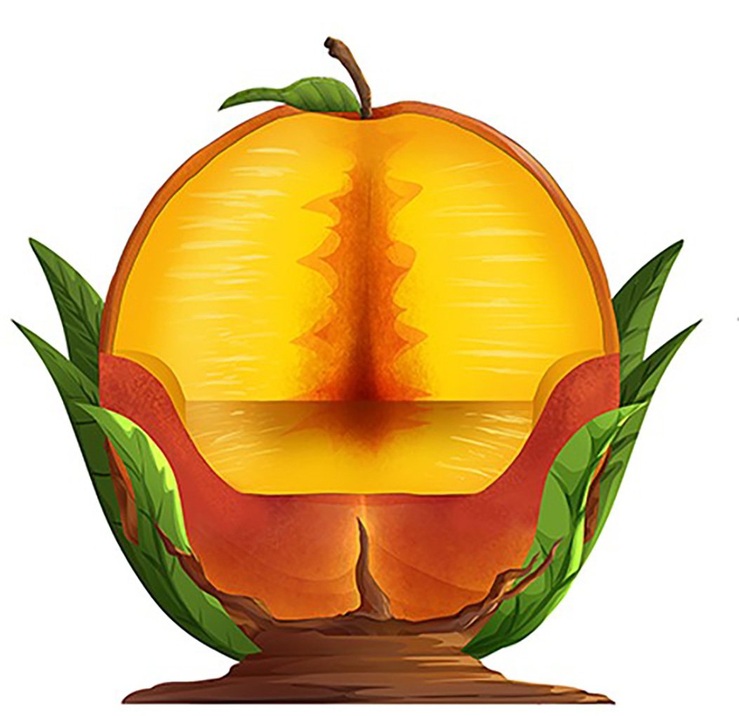 Peach Throne