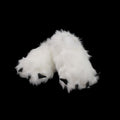 Polar Bear Slippers