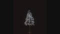 5' Pure White Starburst LED Tree