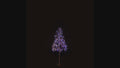 4' Red, White and Blue Starburst LED Tree