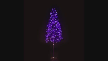 6' Purple Starburst LED Tree