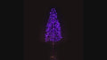 6' Purple Starburst LED Tree