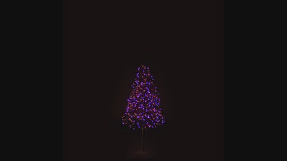 4' Purple and Orange Starburst LED Tree