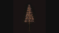 6' Warm White Starburst LED Tree