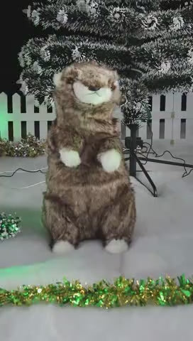 Animated Groundhog Body moves with Music