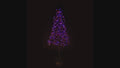 6' Purple and Orange LED Tree with Black Frame