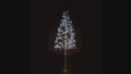 6' Pure White Starburst LED Tree