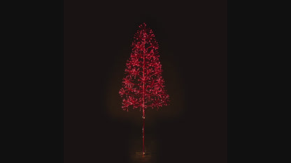6' Red Starburst LED Tree