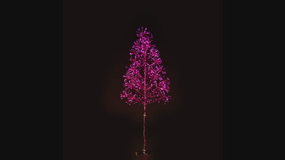 6' Pink Starburst LED Tree