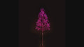 6' Pink Starburst LED Tree