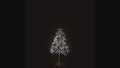 4' Pure White Starburst LED Tree