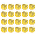20 Pack 6