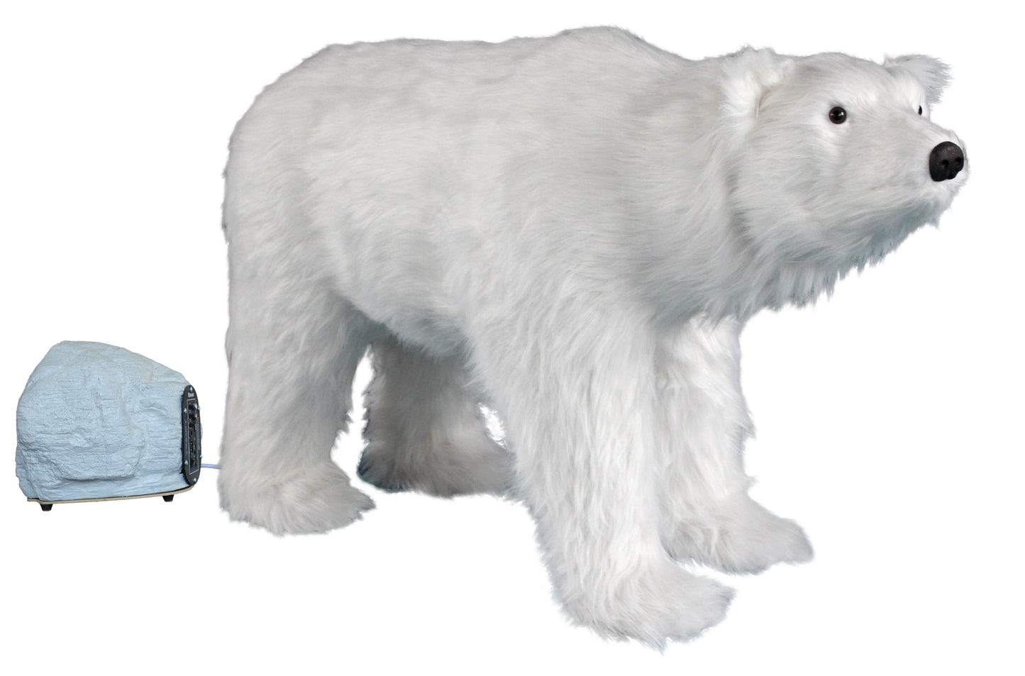 Animated Polar Bear Head moves with Music