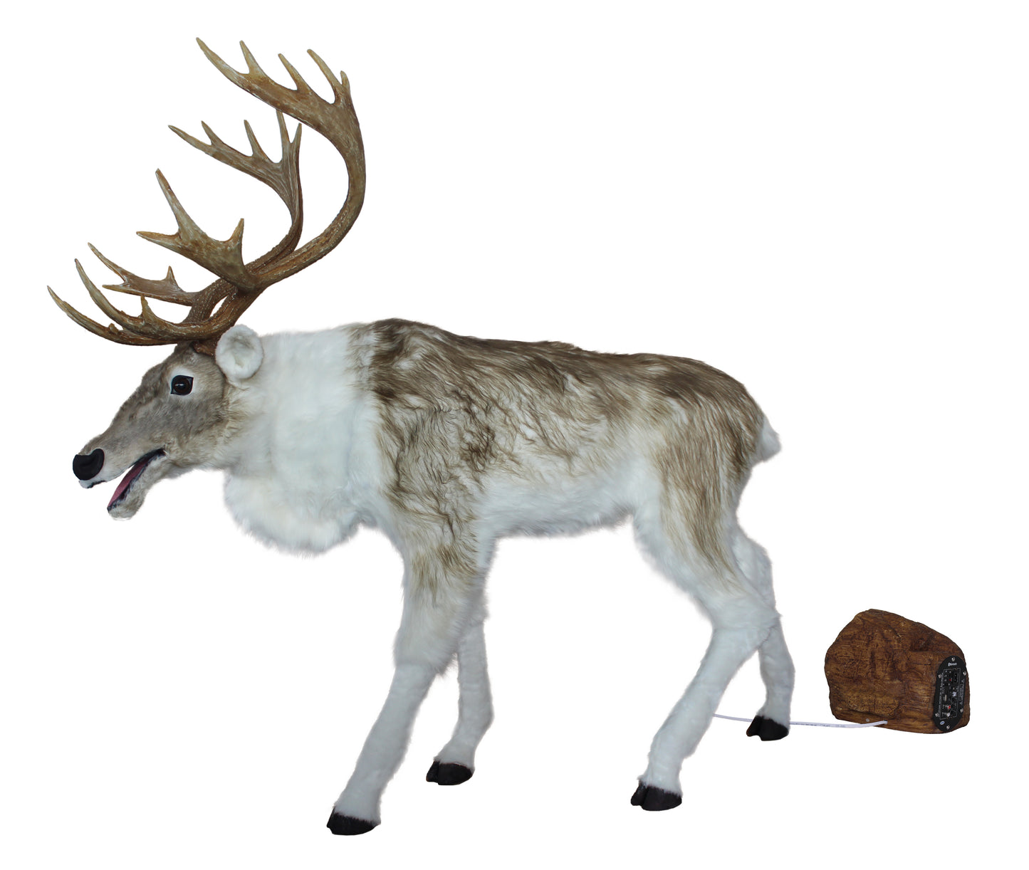 Animated Adult Natural Reindeer Head moves with Music