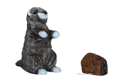 Animated Groundhog Body moves with Music