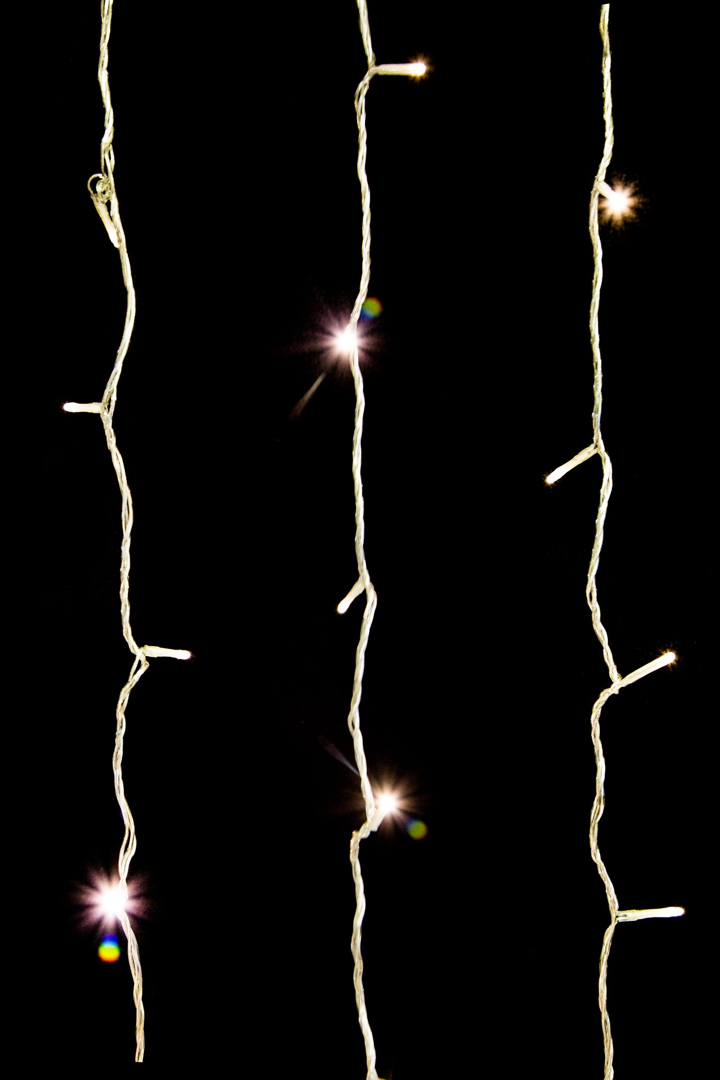 Commercial 50 3mm Warm White LEDs 4" Spacing on Clear Wire