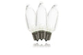 25 Pack of C9 Dimmable Smooth Cool White LED Retrofit Bulbs