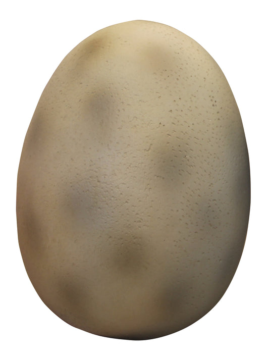 9" Small Dino Egg