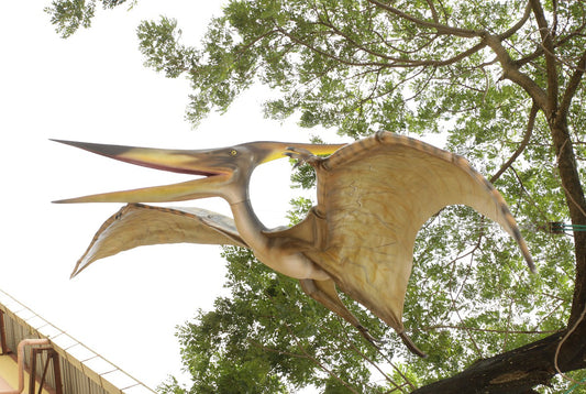 Giant Flying Pteranodon