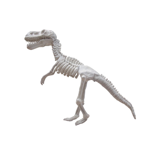 2.5' Skeleton Dinosaur