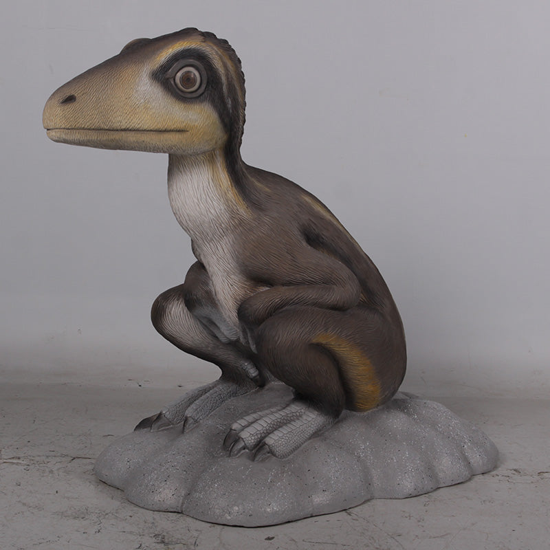 3' Juvenile Theropod Sitting Down