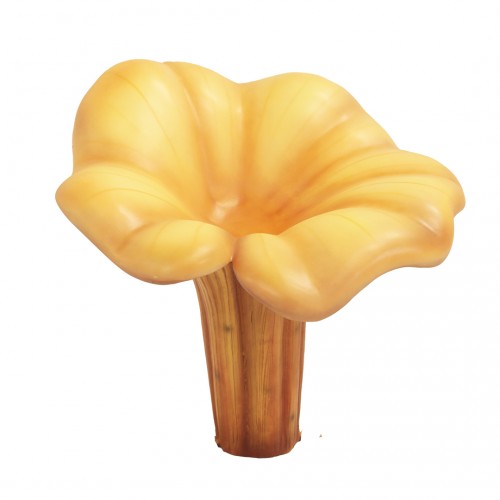 20" Yellow Chanterelle Mushroom