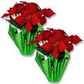 2 Pack Poinsettia Pot