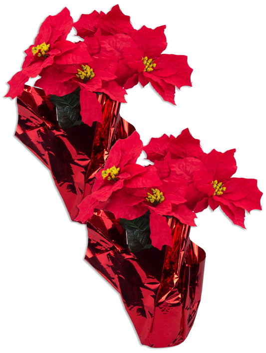 2 Pack Poinsettia Flowers in Red Pot