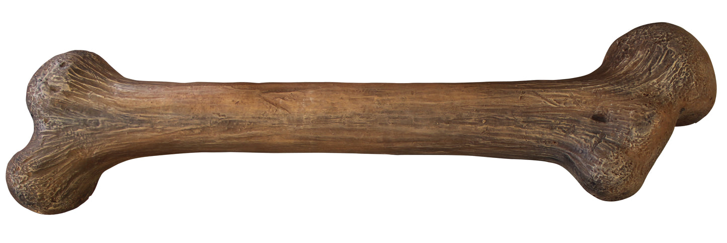 37" Large Bone