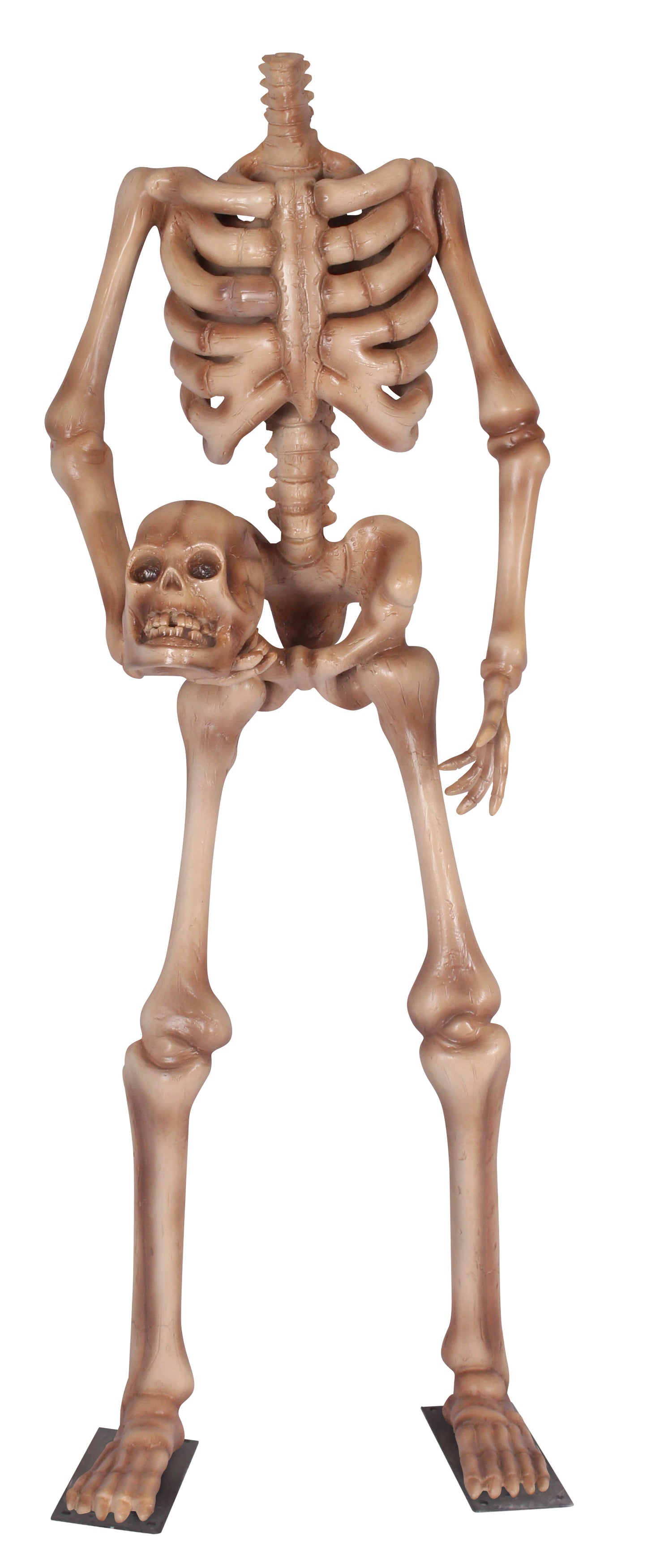 4.5' Headless Skeleton