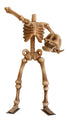 Headless Skeleton 12'