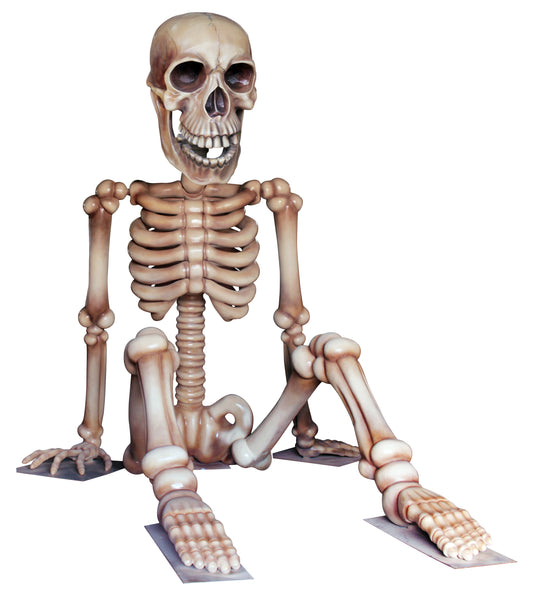 13.5' Sitting Skeleton