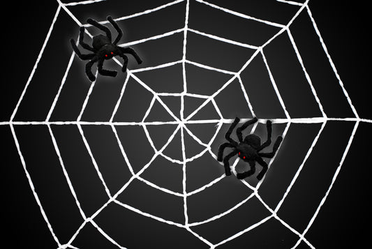 5' Spider Web With 2 Black Spiders