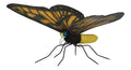 Yellow Butterfly 2'