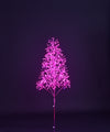 5' Pink Starburst LED Tree