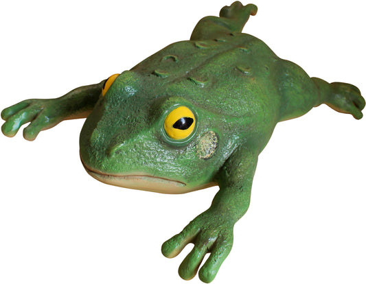6" Frog
