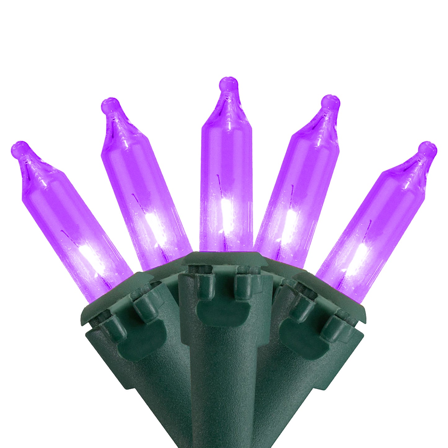 35 Purple LED T5 Lights 4" Spacing on Green Wire