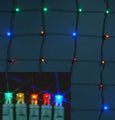 LED Multi Colored 4 x 6 Net Light