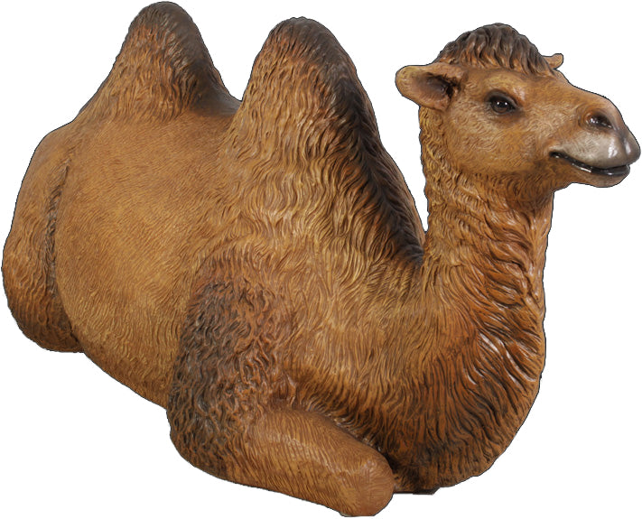 Life Size 41" Camel Lying Down