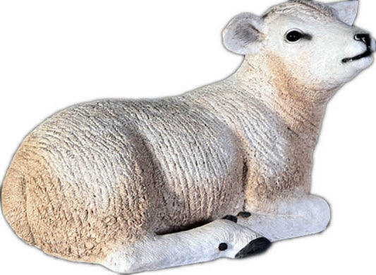 Life Size 14" Lamb Lying Down