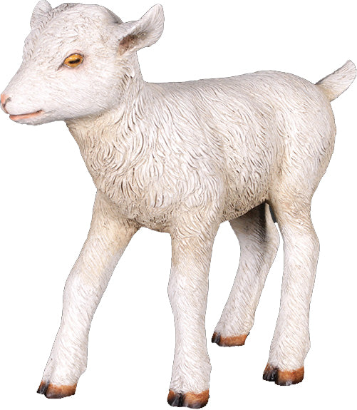 Life Size 19" Lamb