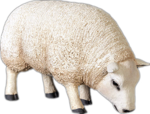 Life Size 28" Sheep with Head Down