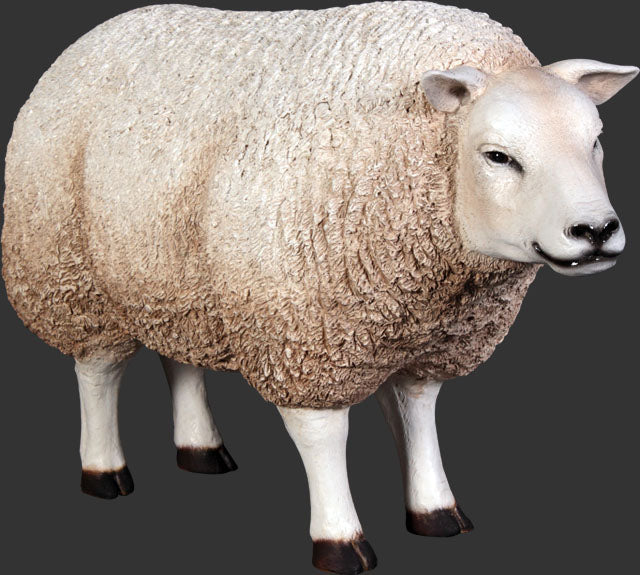 Life Size 29" Sheep with Head Up