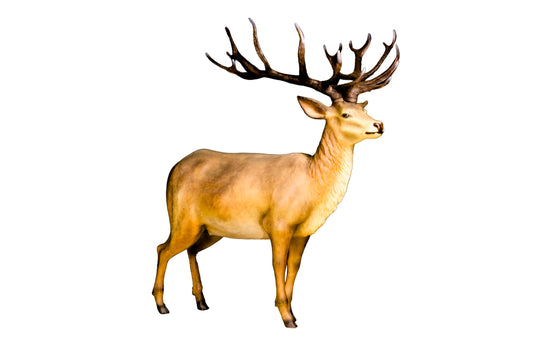 Life Like 6' Red Stag