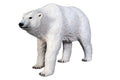 Polar Bear 48