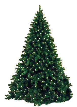 6' Natural Style Christmas Tree with Warm White LED Lights