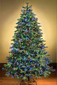 4' Sequoia Evergreen Pine Christmas Tree with Multicolor LED Lights