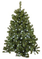 4' Sequoia Evergreen Pine Christmas Tree with Pure White LED Lights