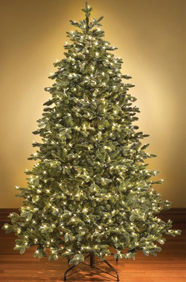 4' Sequoia Evergreen Christmas Tree with Warm White LED Lights