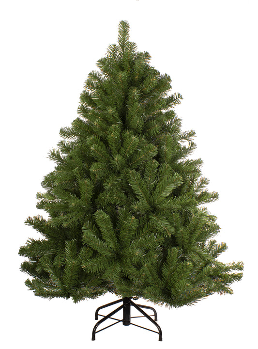 4' Sequoia Evergreen Pine Tree